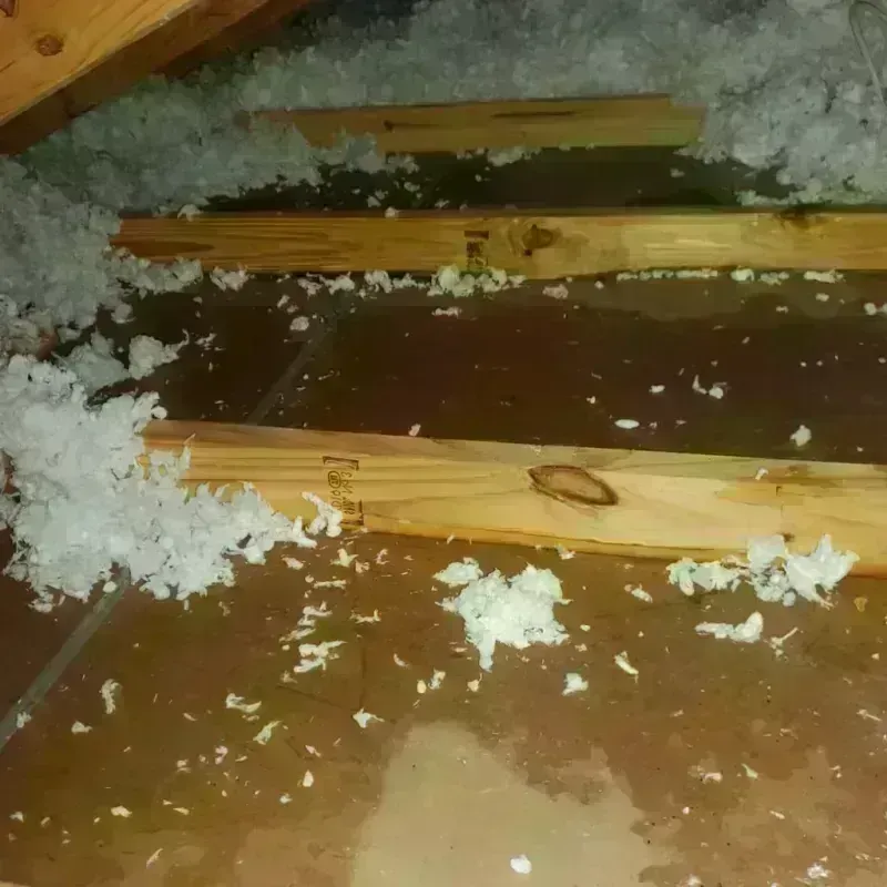 Attic Water Damage in Fairview, UT