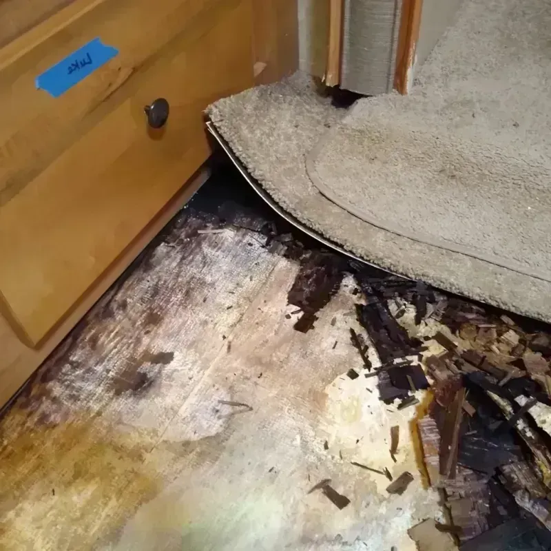 Wood Floor Water Damage in Fairview, UT